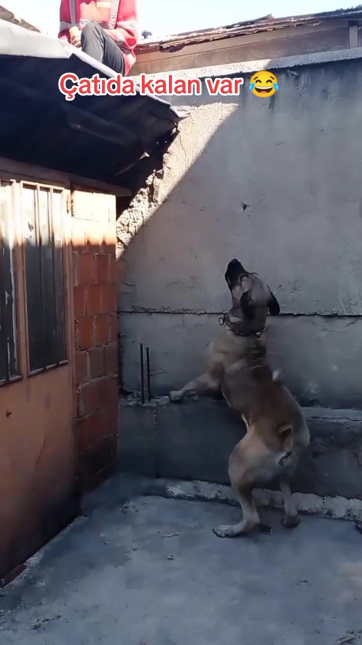 @Hello Bozkır