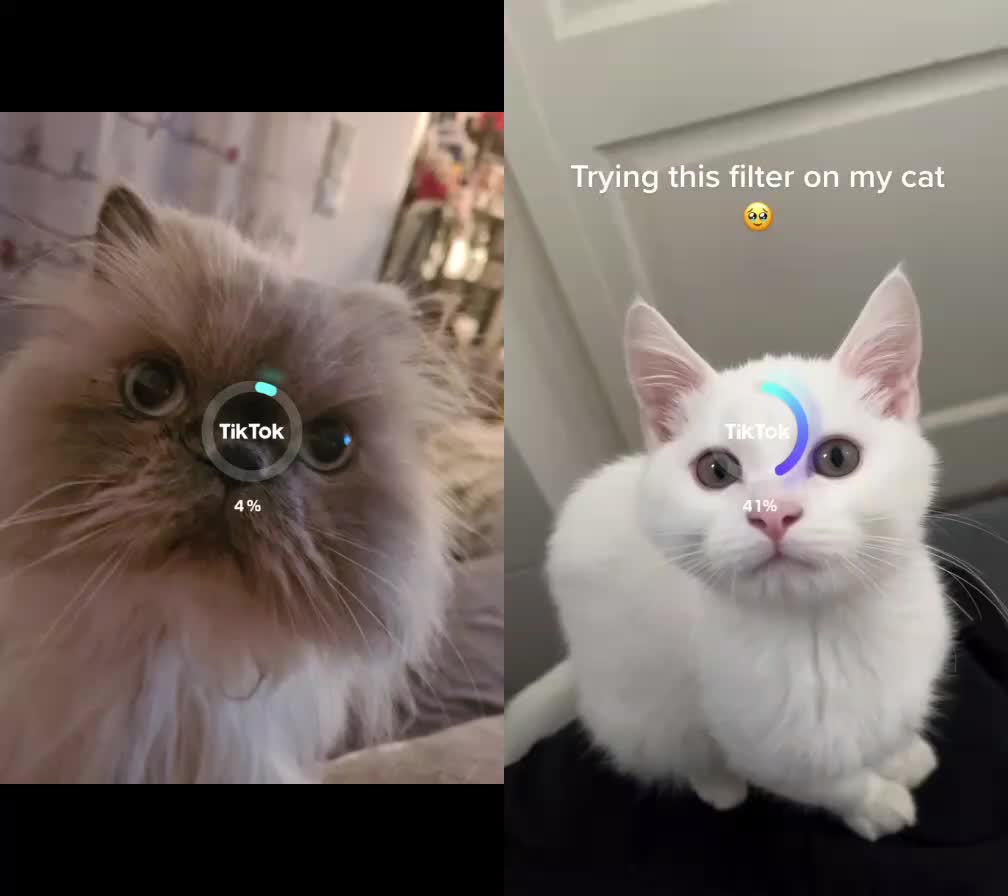 @Jilltyyy