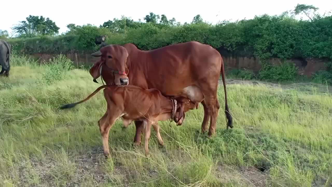 @Hardik8920