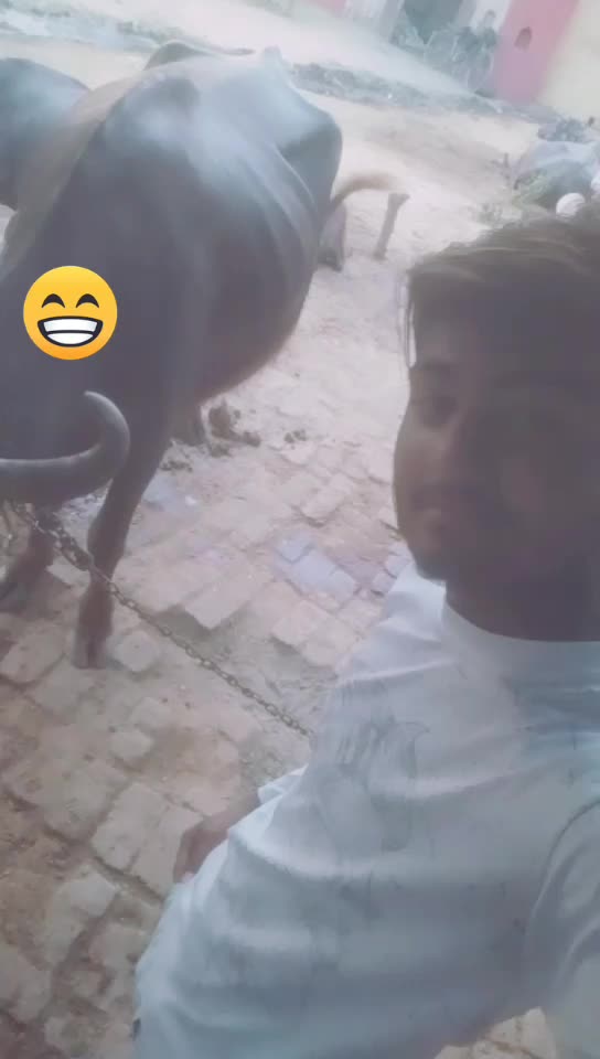 @AbhishekYadav2015