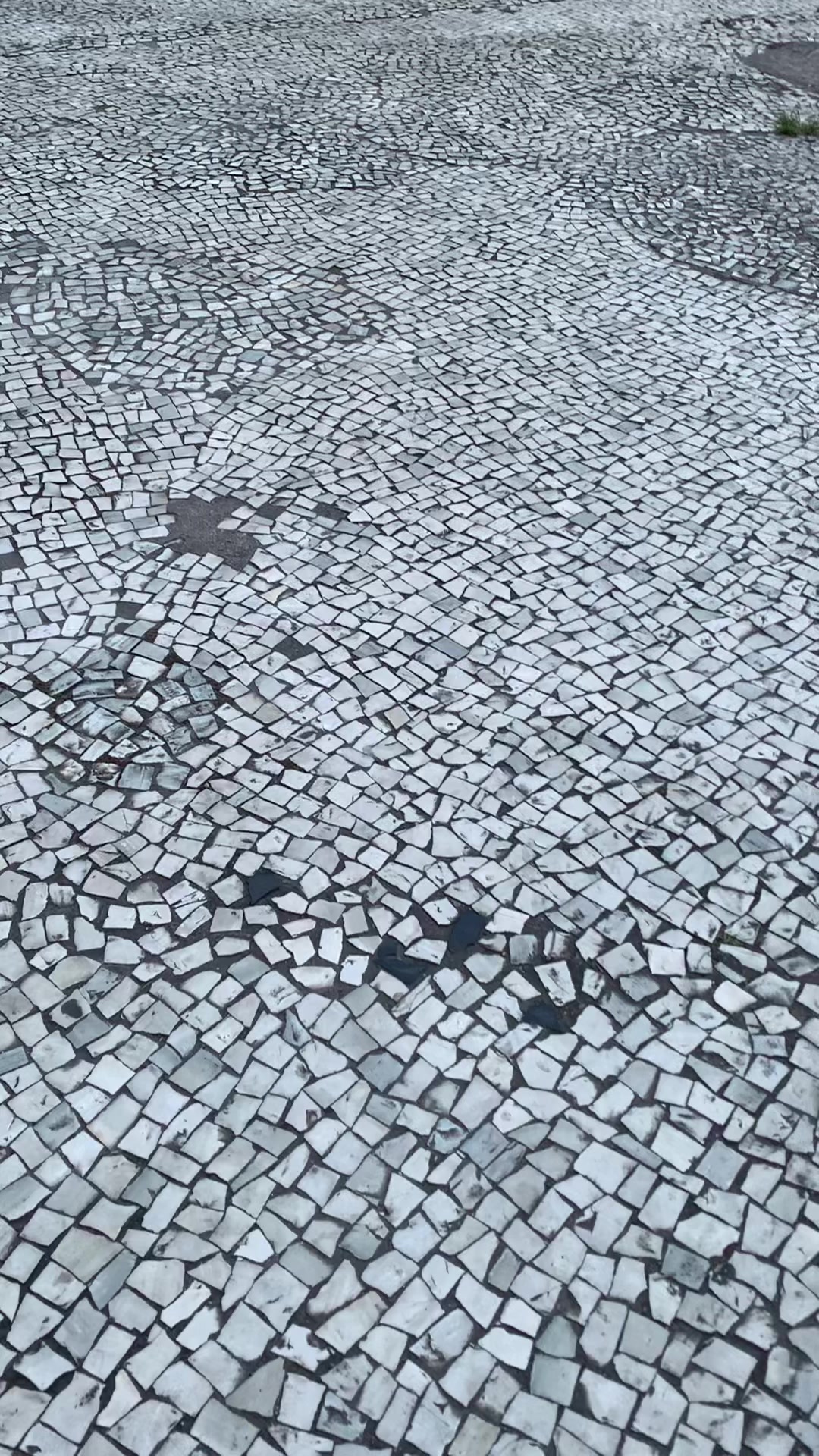 @Ronybastos