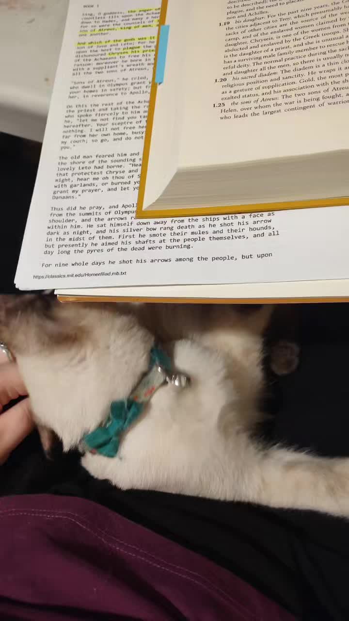 @Kat