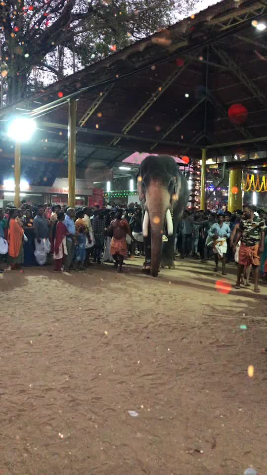 @Rahul Thekkedath