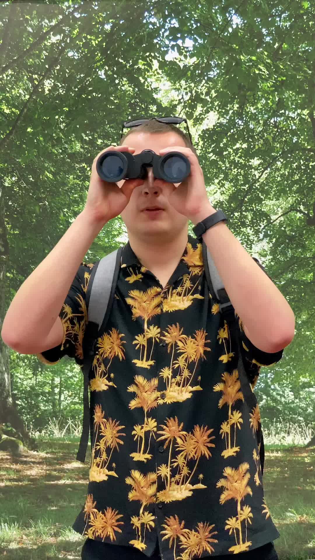 @BirdingSimulator