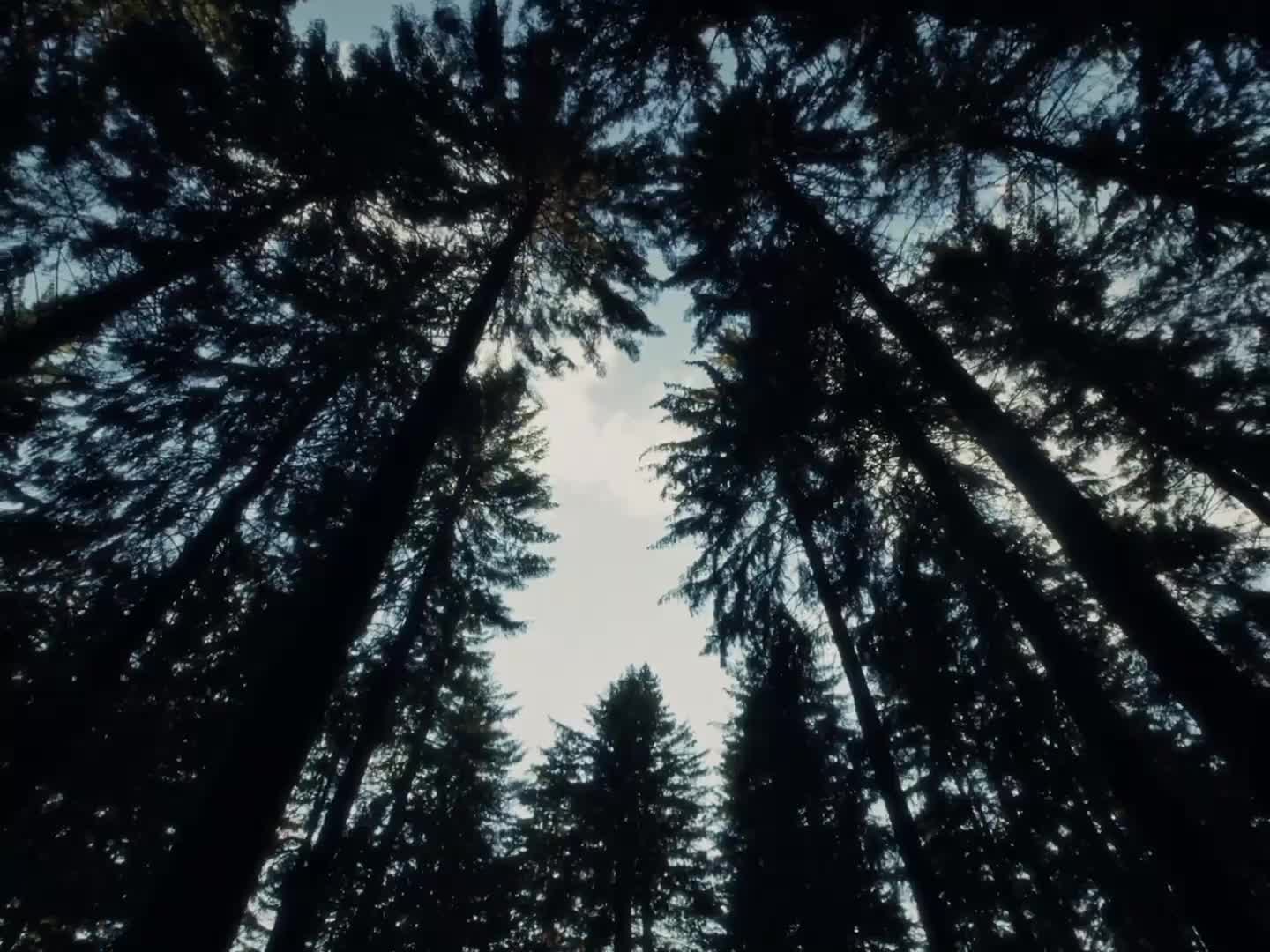 @𝐈𝐃𝐂𝐀𝐒𝐇🩸