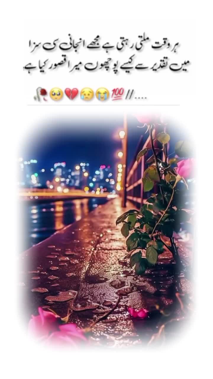 @Areesha write😍