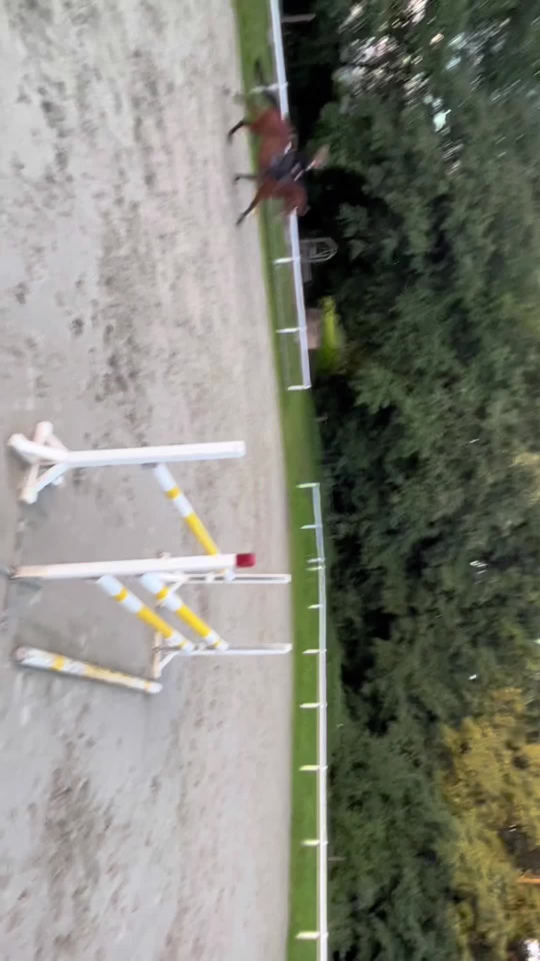 @Johanna Hofbauer