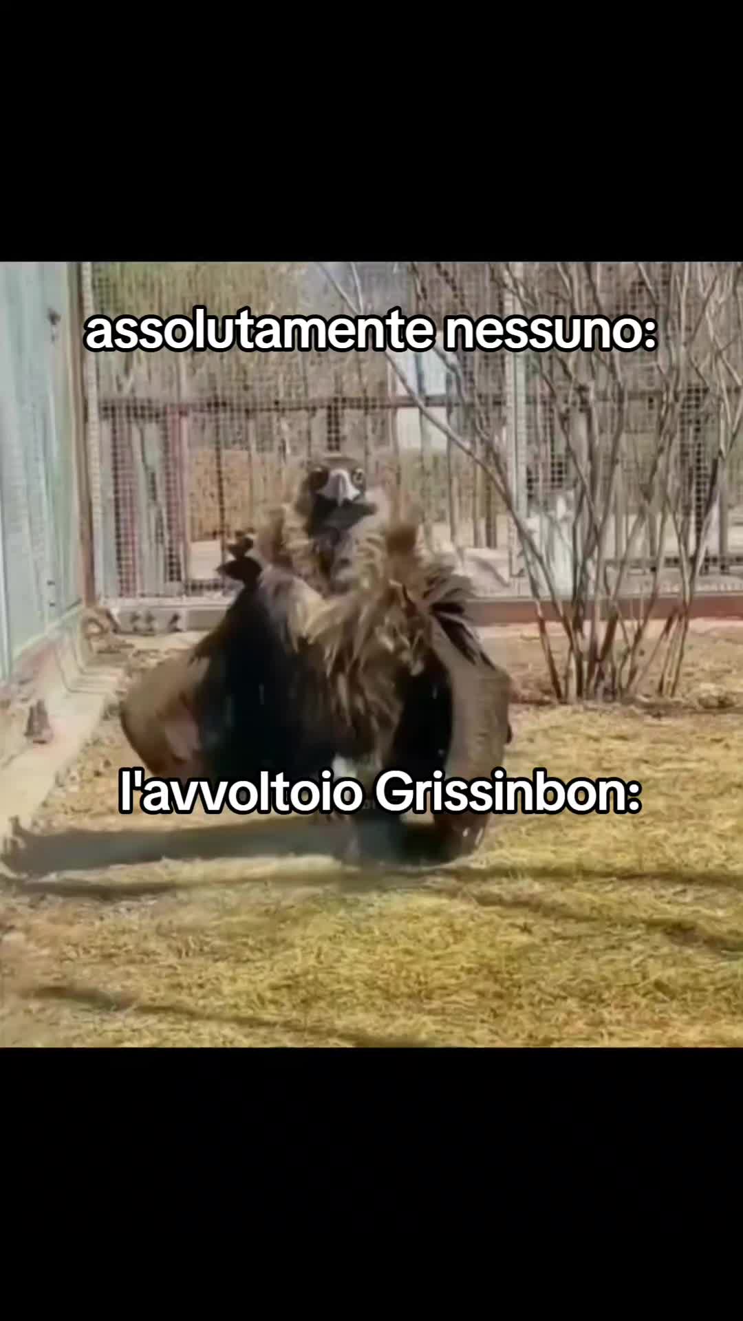 @SER_ANTONSON