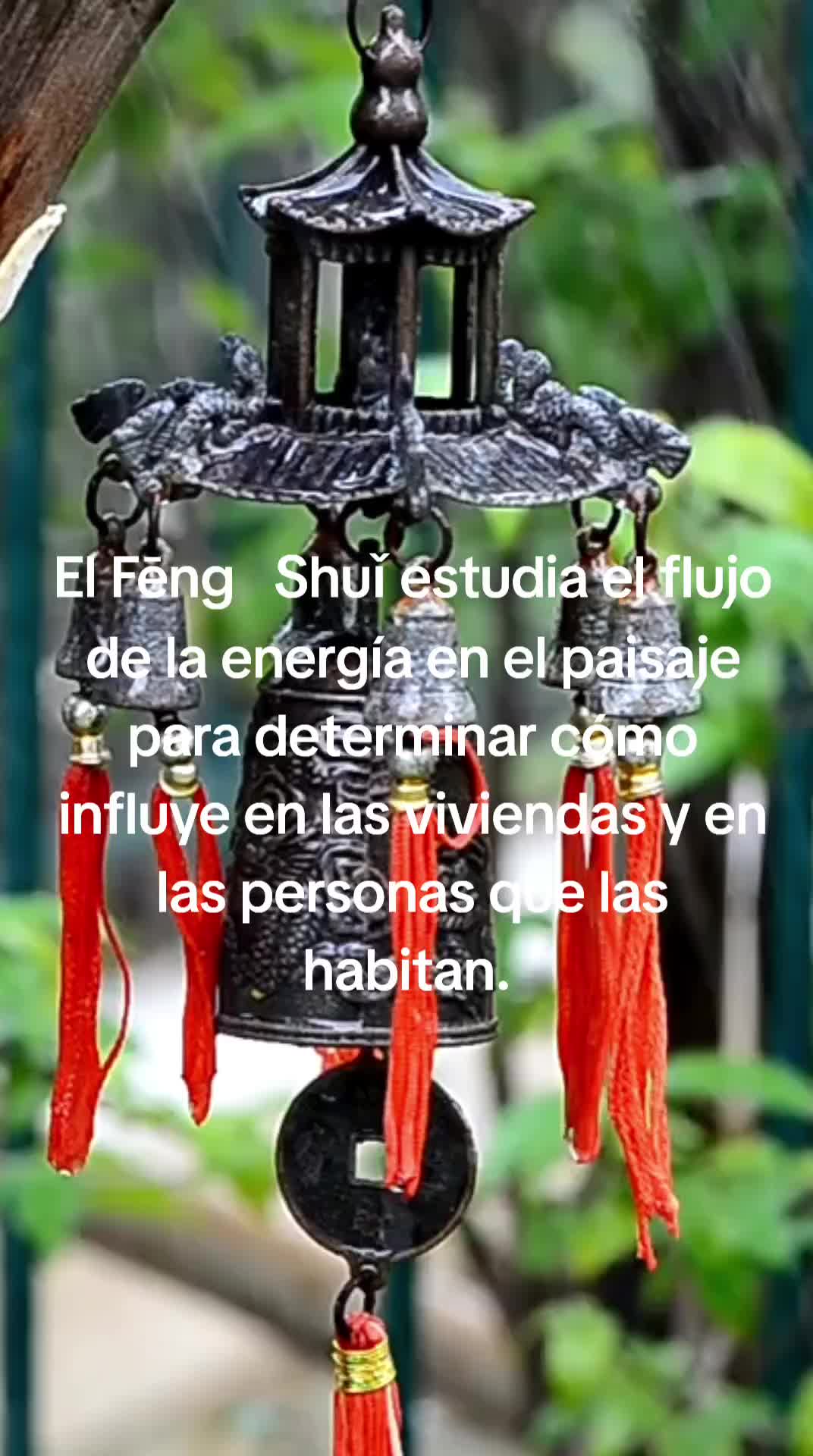 @CES WUSHU