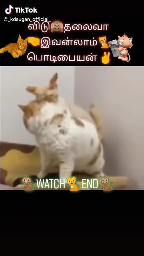 @NIROSHAA