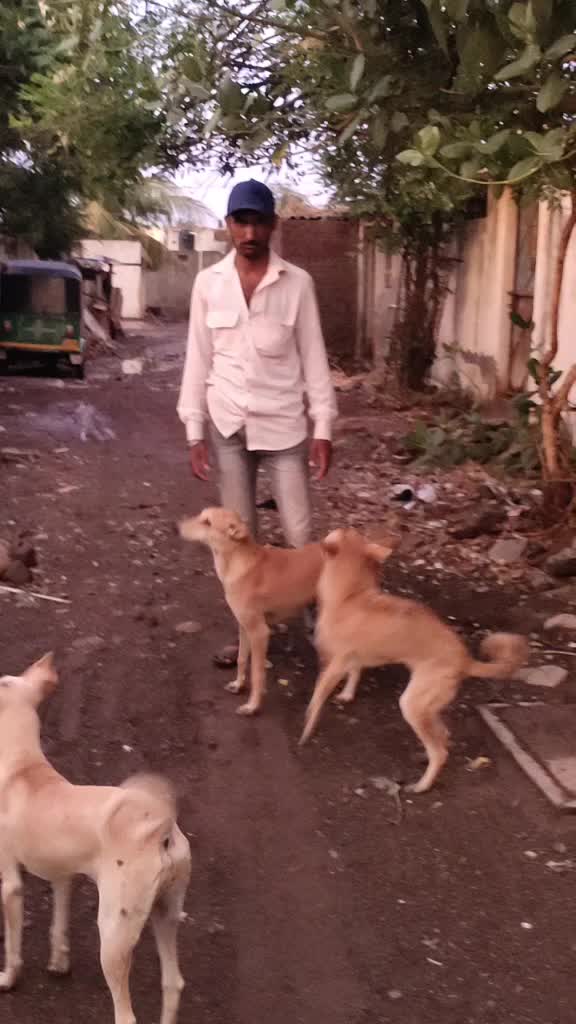 @Sunil Bha Charan