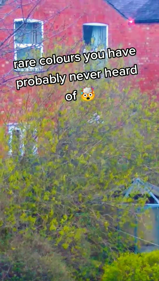 @._.