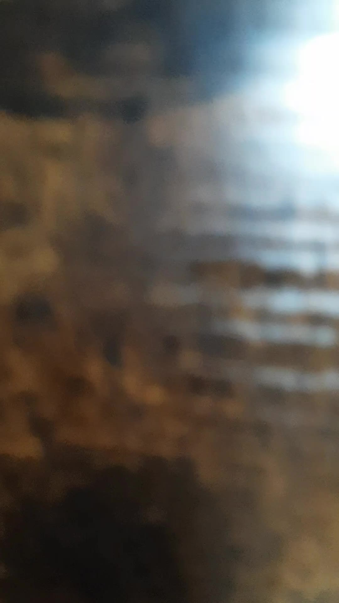@Cut Vinyl