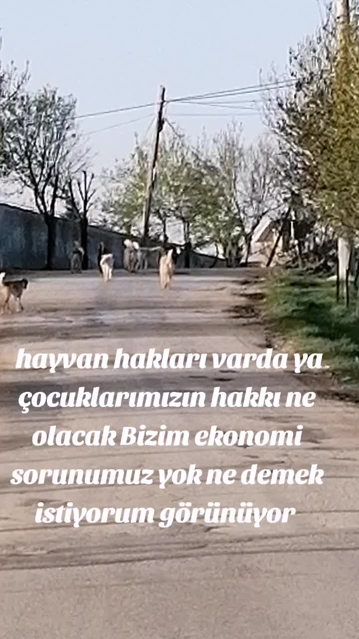 @Karizmatik Hüseyin