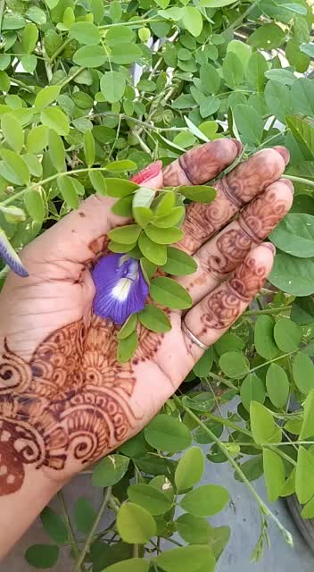 @Priyanka Pandey