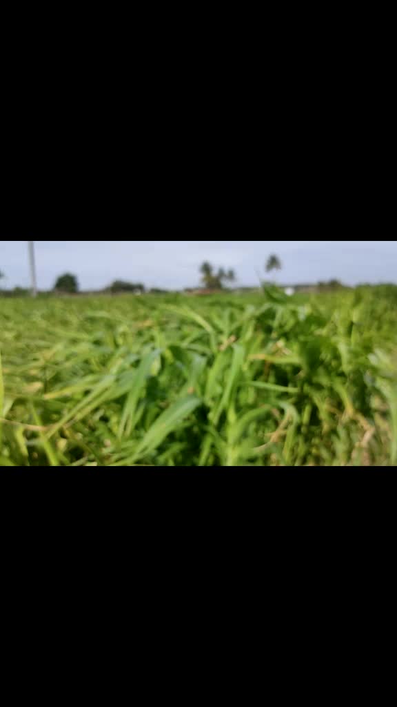 @Gobinath Gr