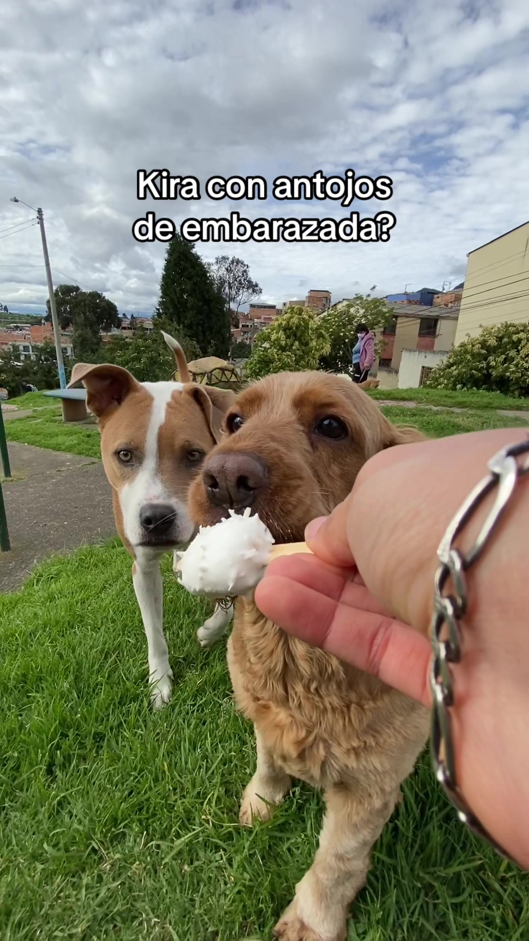 @Manuela Aldana🧢🐮