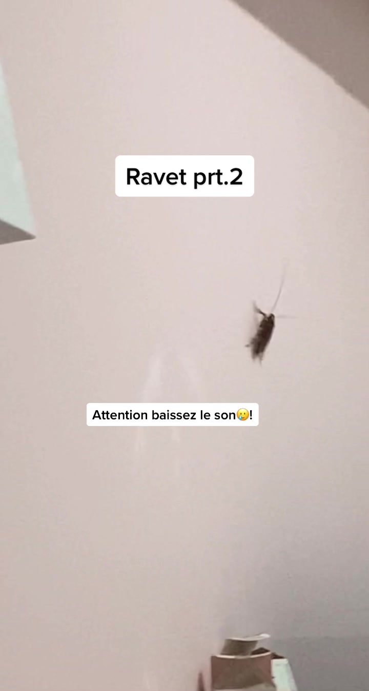 @Dina🦋