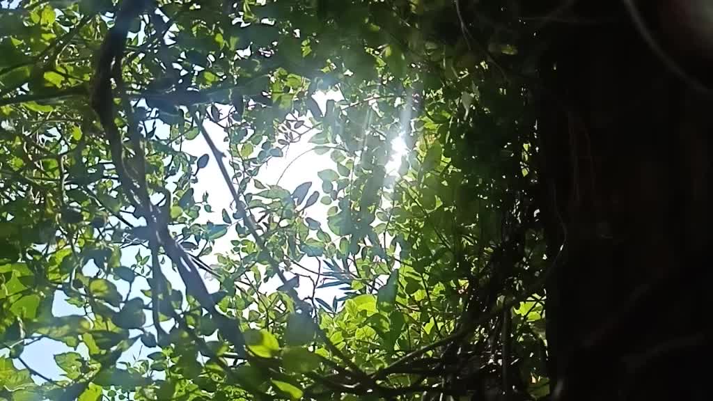 @Kunwar saab