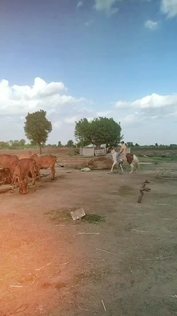@Dhaval JaNi