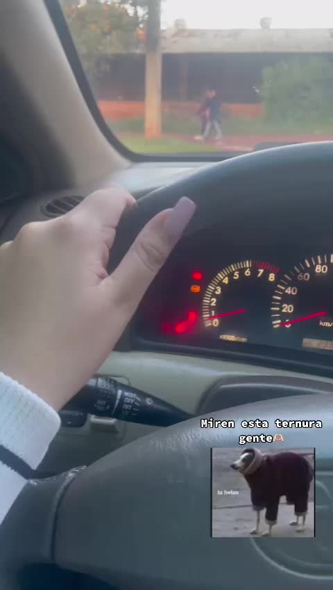 @Adriana Barrios