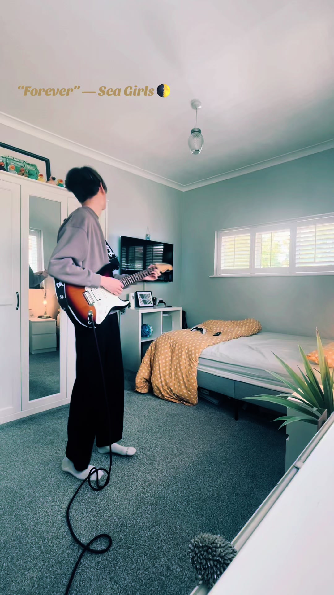 @seb millam🎸