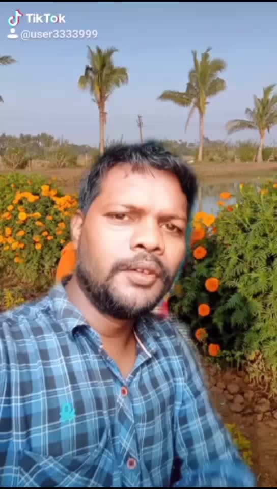@Dali Dilu