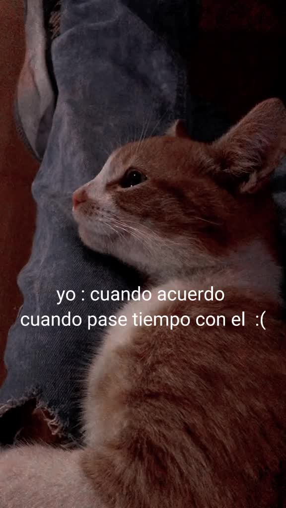 @un poco de todo