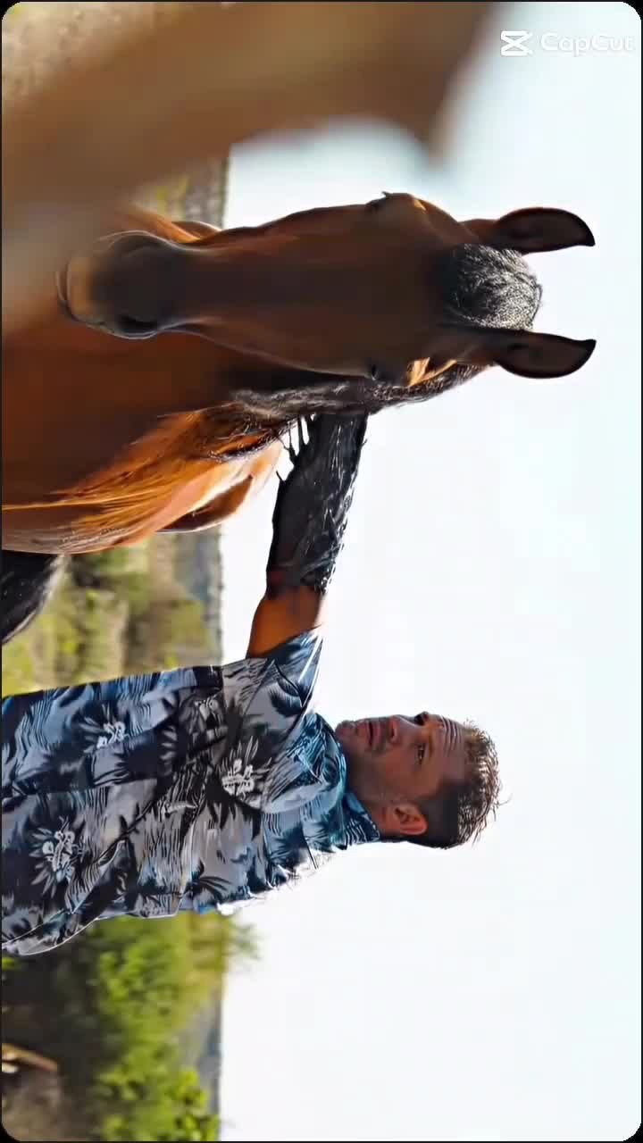 @ventrix