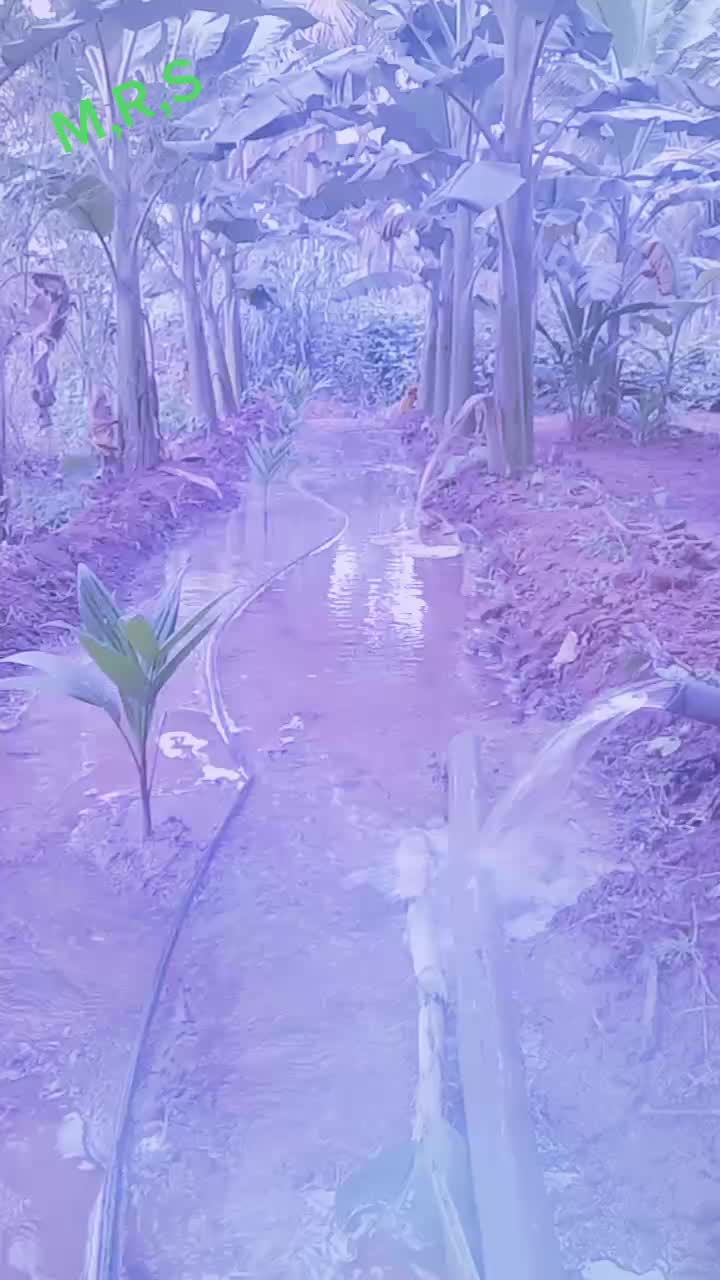 @user8814789759653