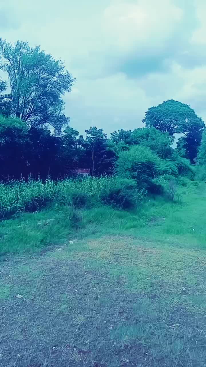 @SuryakantPanchal