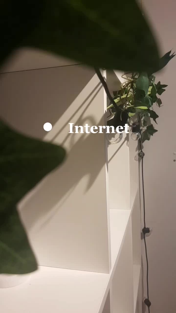 @๐ฐ๐๐๐๐๐๐๐๐๐๐ฟ