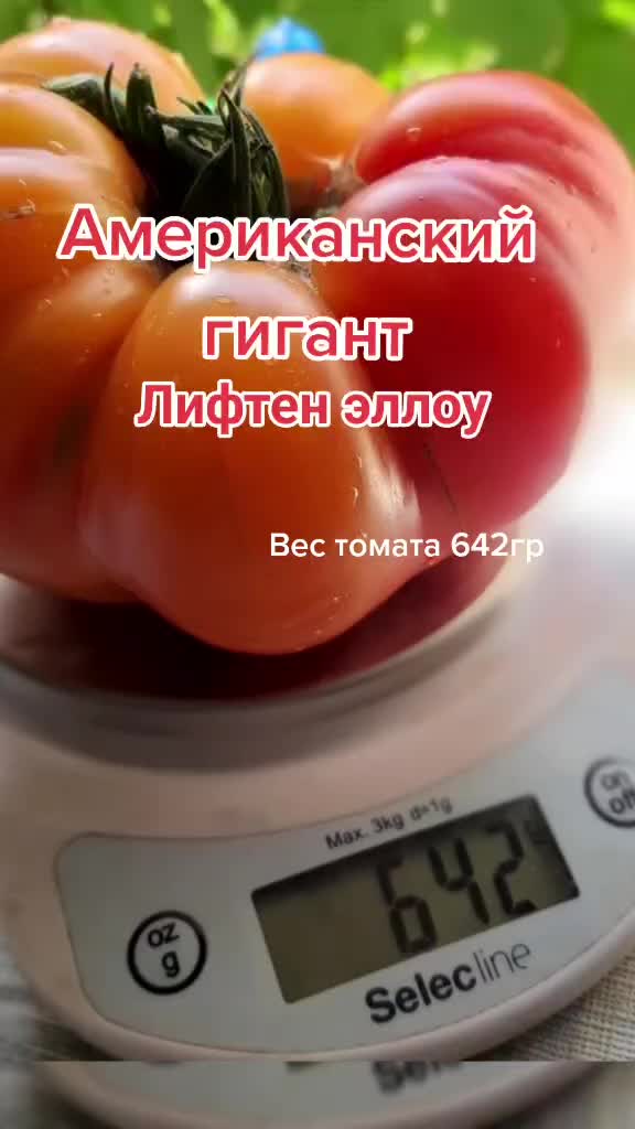 @Дача мечты