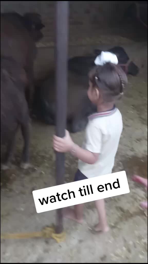 @user45257654645