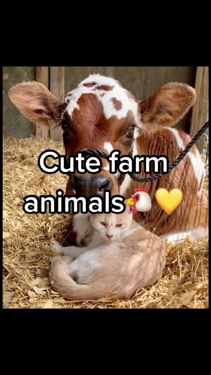 @Cute pet names