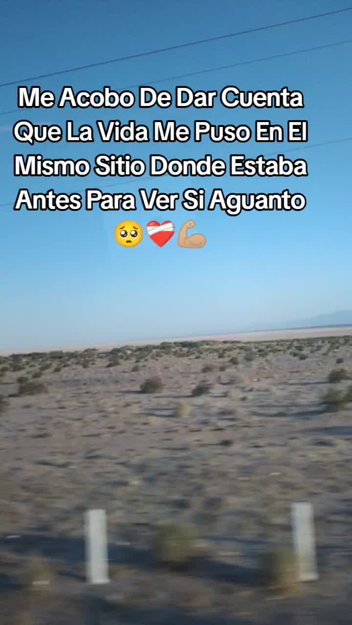 @Sonia Tapia