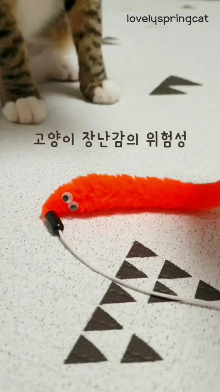 @뽀미와여울이