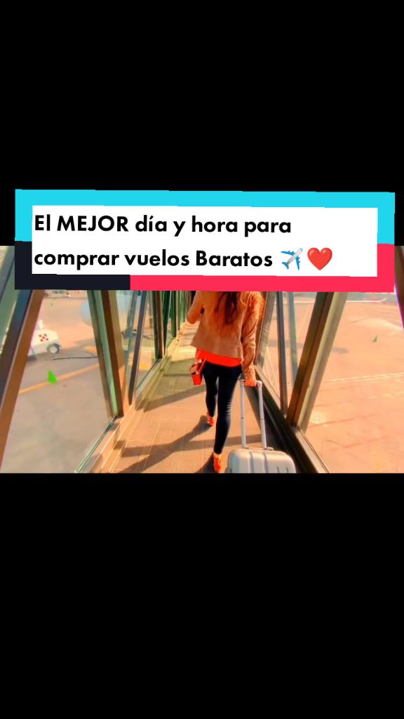 @Sol Rosales