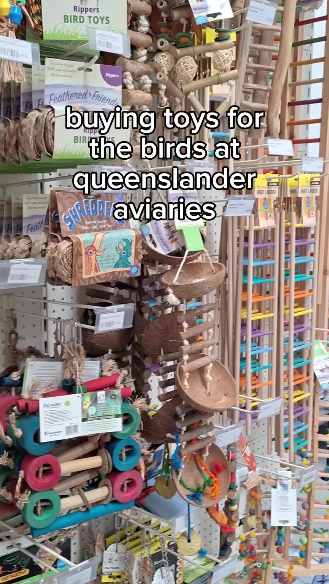 @birbwirb