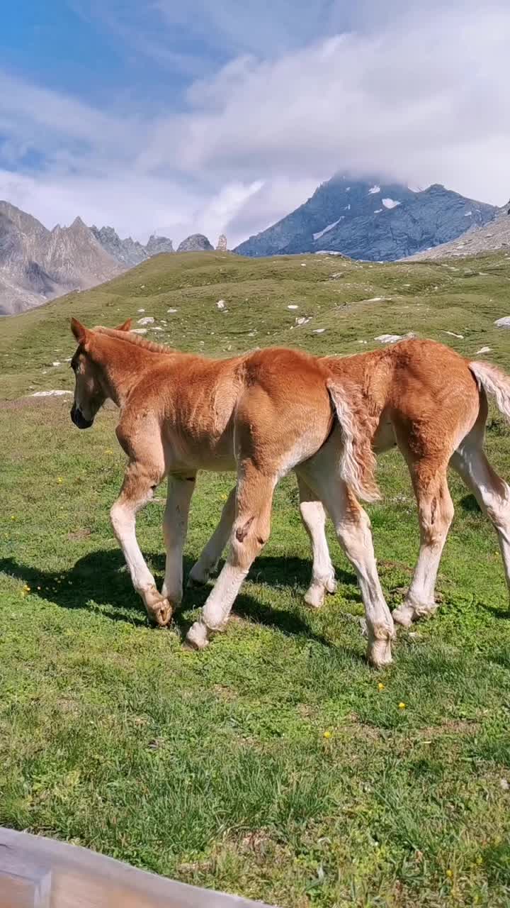 @glorberg