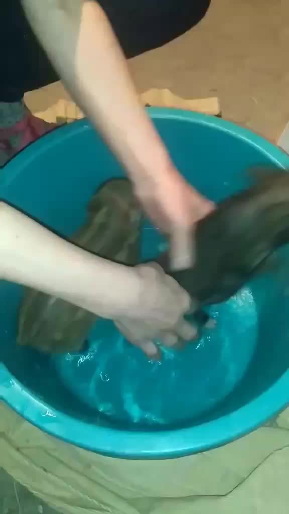 @TheSheWolf