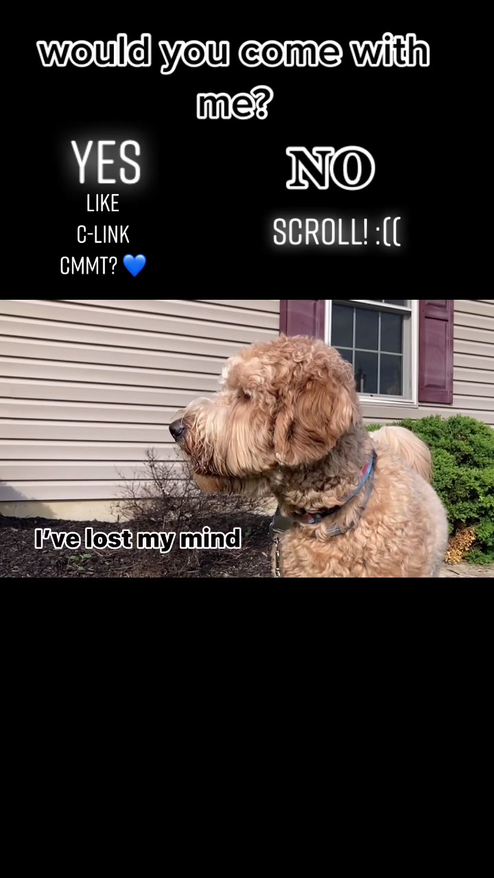 @indie.doodle
