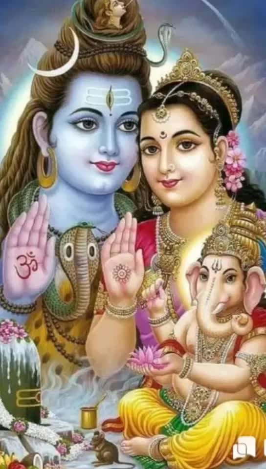 @gayatrimyadav