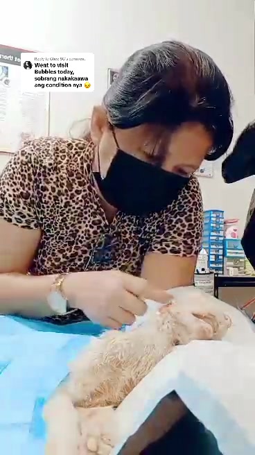 @mylharescues