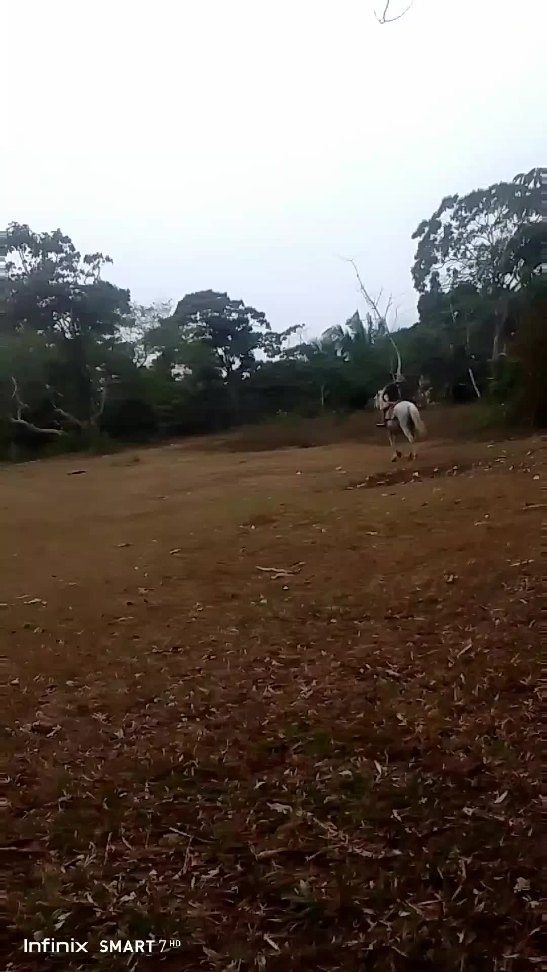 @cruz LM10