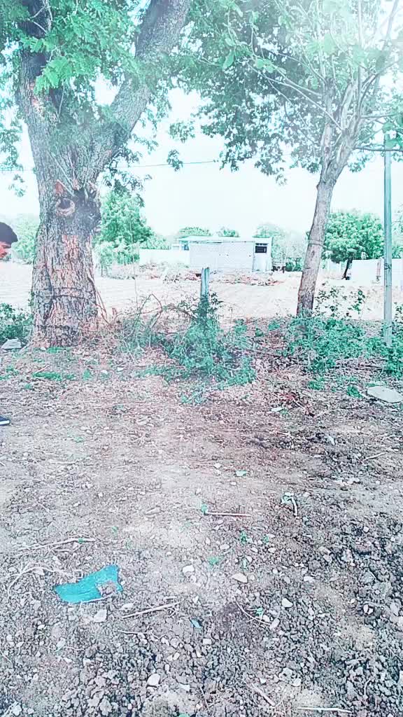 @Rajesh Naidu Marasu