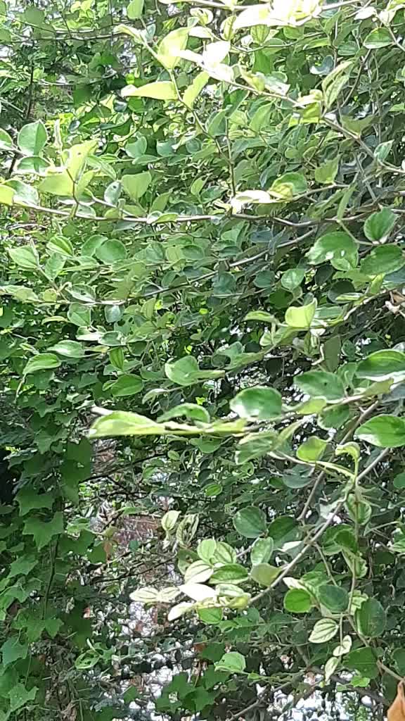 @@sagar888830