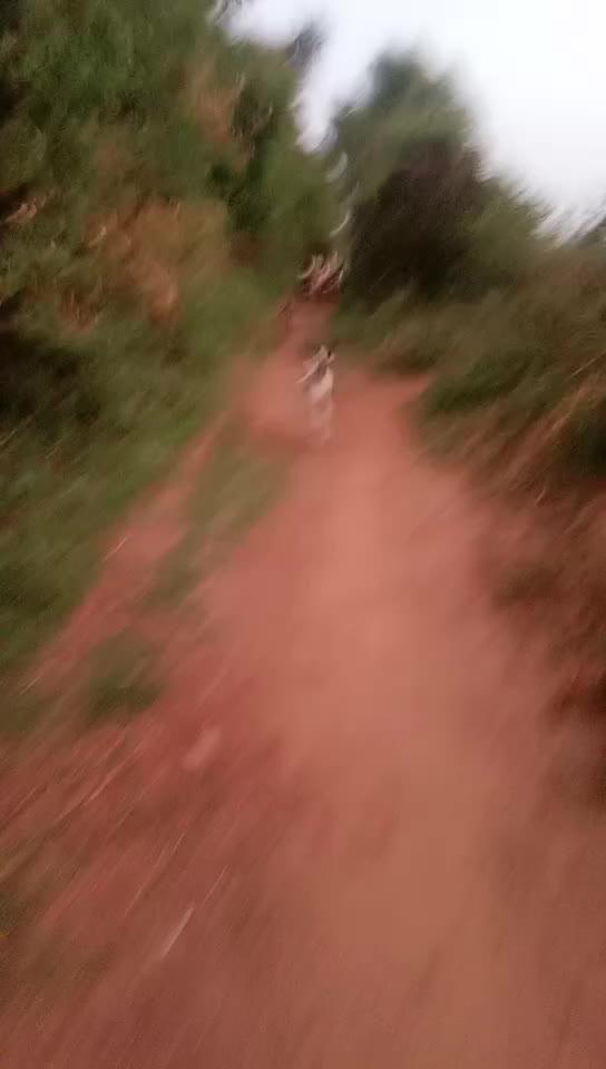 @solanki Rahul gj24