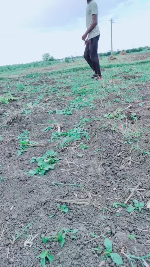 @user7126095505433