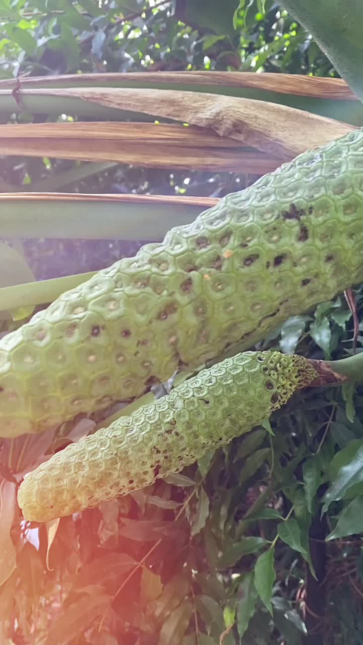 @Мария